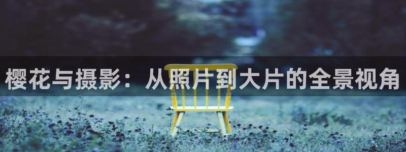 电影星空简介