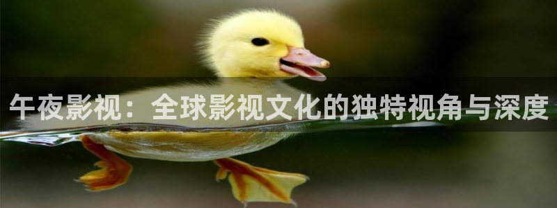 老湿影院影视大全