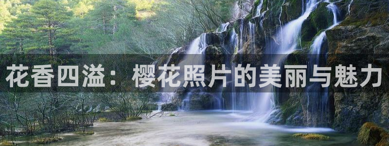 星空视频在线观看完整