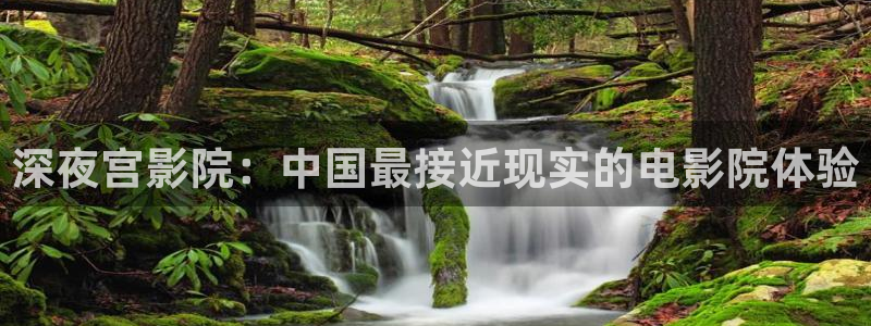 老湿影院免费下载