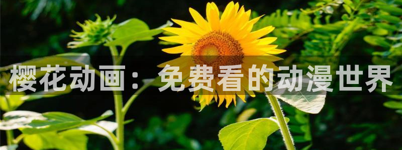 星空天美星空高清mv免费观看动漫