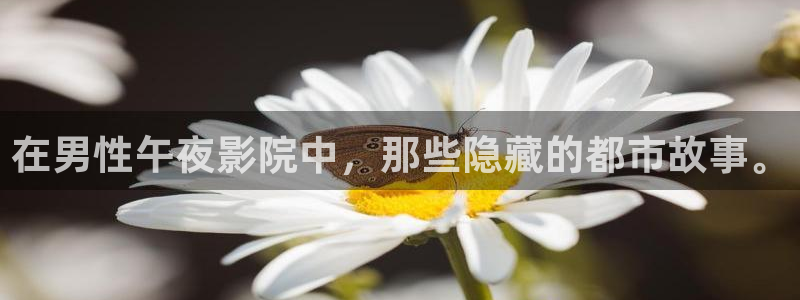 影视星空
