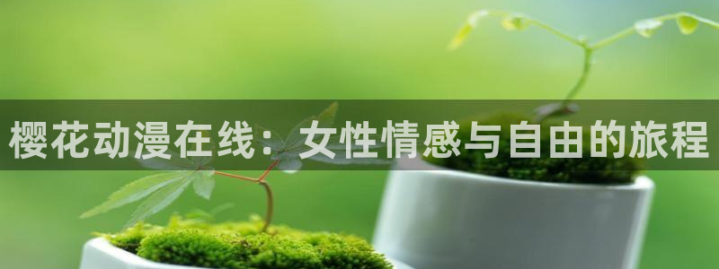 星空影视官方app