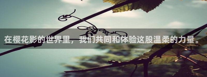 星空免费电影网站