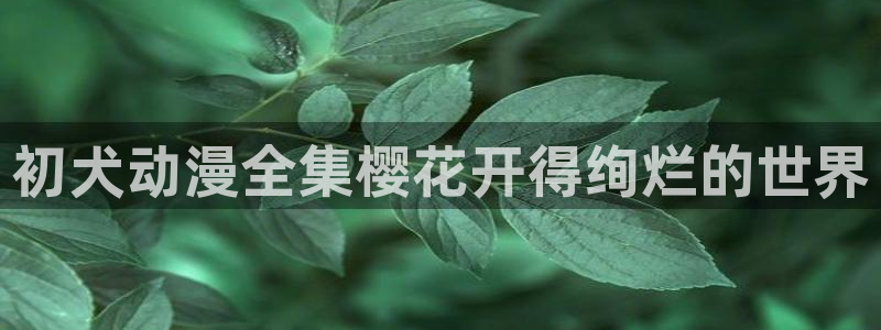 星空影视最新版