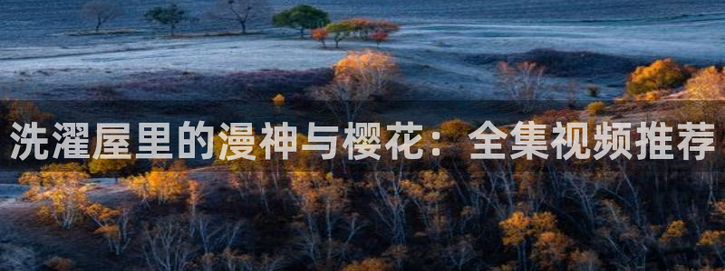 星空影视是什么