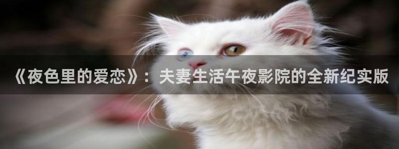 关于星空的歌曲