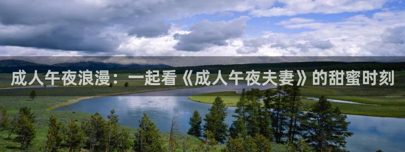 老湿影院高清完整版