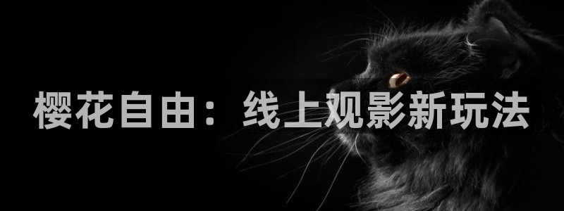 星空在线影视免费观看电视剧
