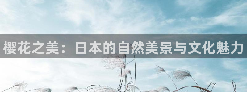 老湿影院和私人影院