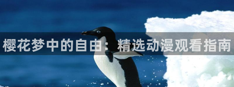 星空免费观看高清完整版