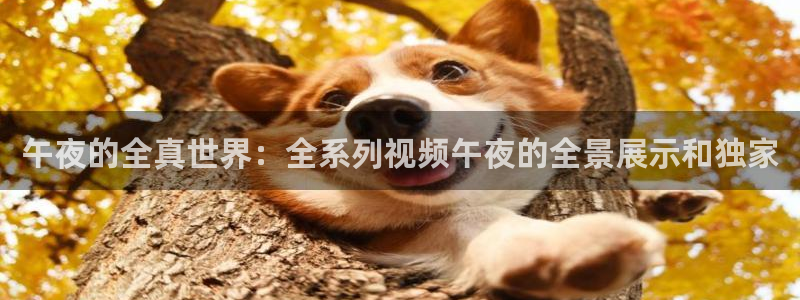 妈妈的朋友们老湿影院
