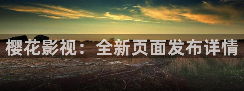 星空视频在线播放