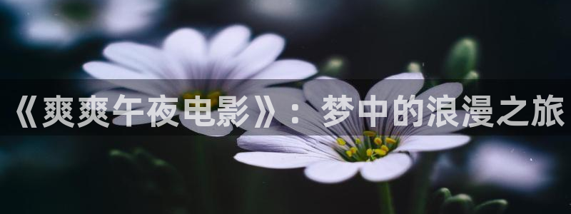 星空免费电影网站