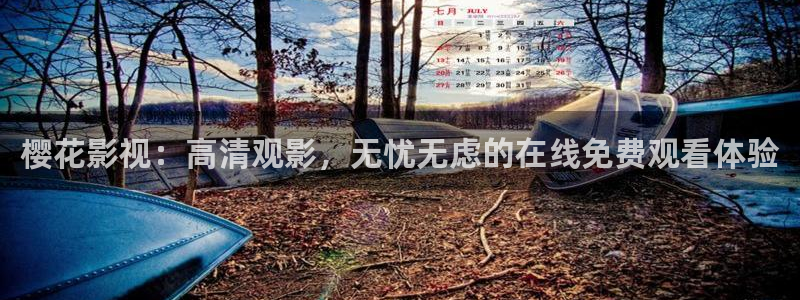 老湿影院免费观看电影电视剧下载
