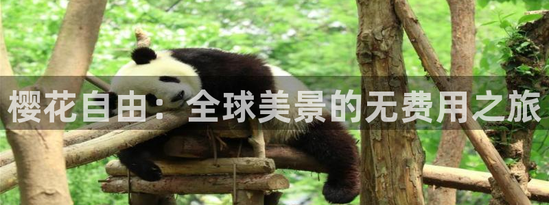 xk8073星空无限,老湿影院电视剧免费播