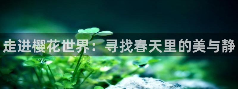 星空影视剧