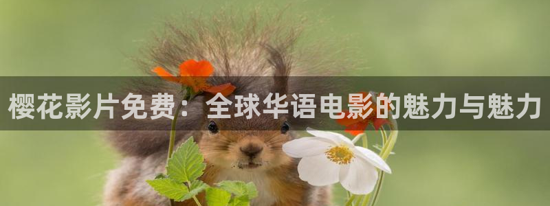 在线影院星空
