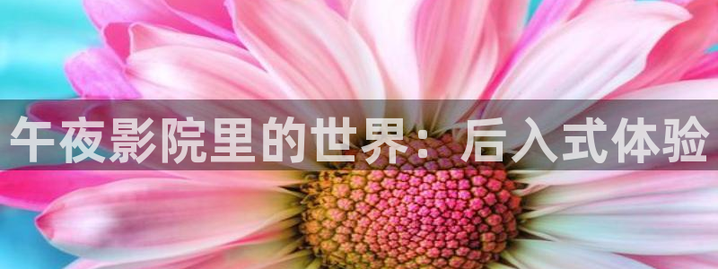 星空电影免费观看