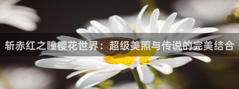 星空电影免费播放观看